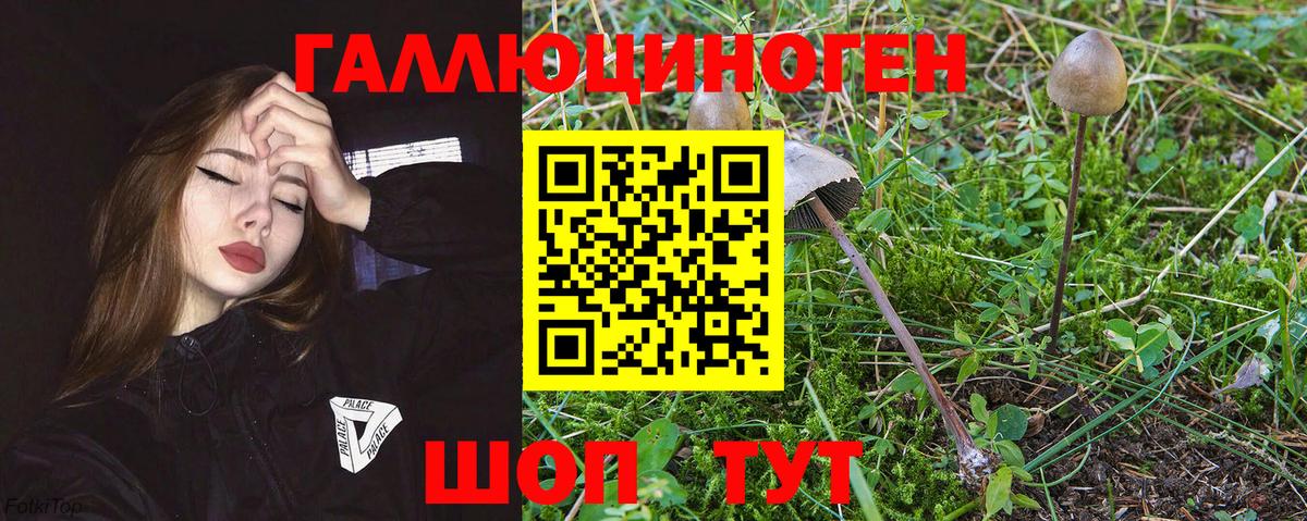 Галлюциногенные грибы мухоморы  Вход с VPN  как найти   Горячий Ключ 